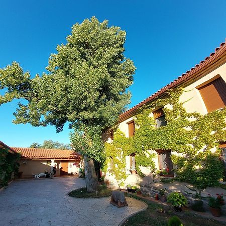 Casa Atenea ซามอรา ภายนอก รูปภาพ